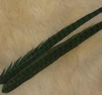 ringneck pheasant center tail green Super Fly 